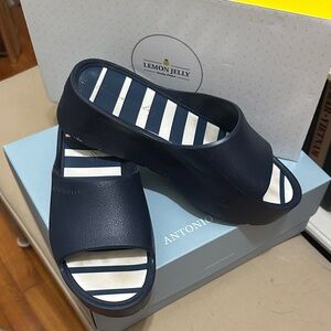 Lemon Jelly Women's Navy Mules